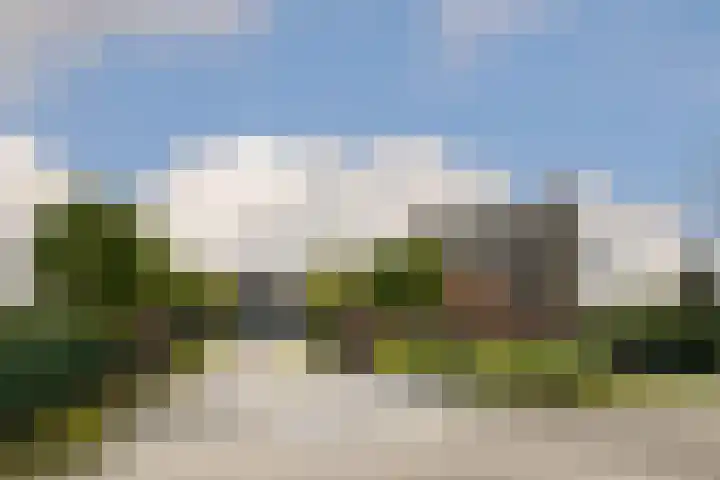Schaapsbrug 3 Heibloem thumbnail 40