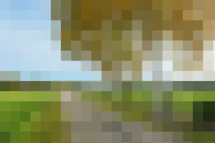 Schaapsbrug 3 Heibloem thumbnail 41