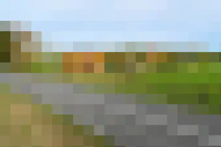 Schaapsbrug 3 Heibloem thumbnail 5