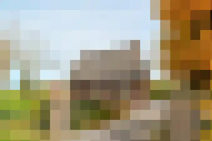 Schaapsbrug 3 Heibloem thumbnail 6