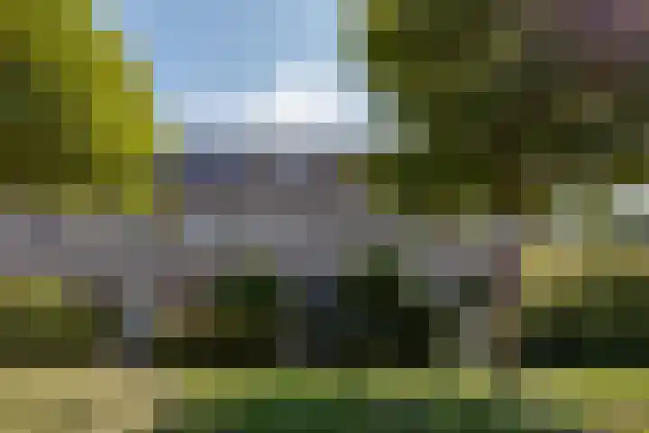 Schaapscheerderslaan 21 Voorthuizen