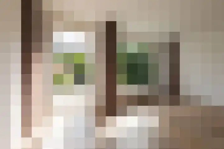 Schaapscheerderslaan 21 Voorthuizen thumbnail 14