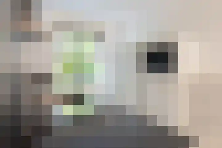 Schaapscheerderslaan 21 Voorthuizen thumbnail 18