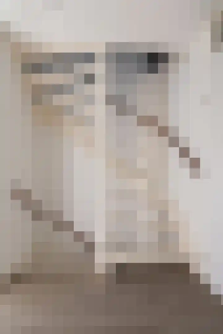 Schaapscheerderslaan 21 Voorthuizen thumbnail 20