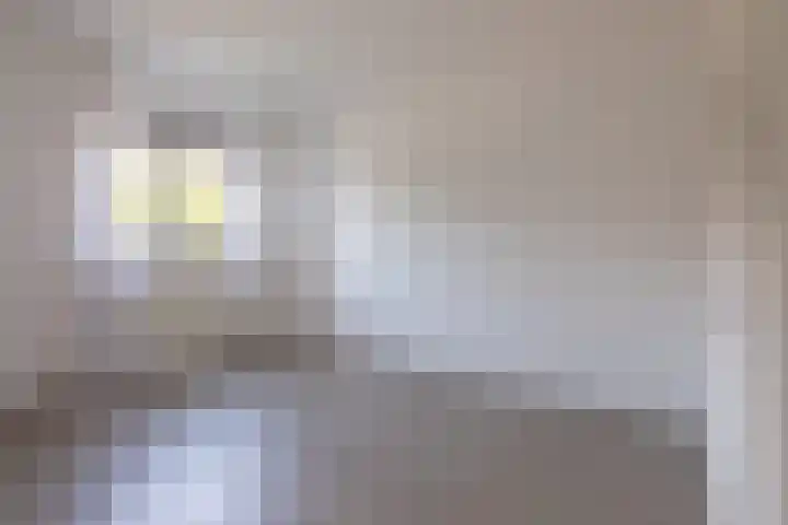 Schaapscheerderslaan 21 Voorthuizen thumbnail 21