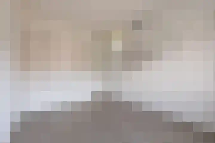 Schaapscheerderslaan 21 Voorthuizen thumbnail 22