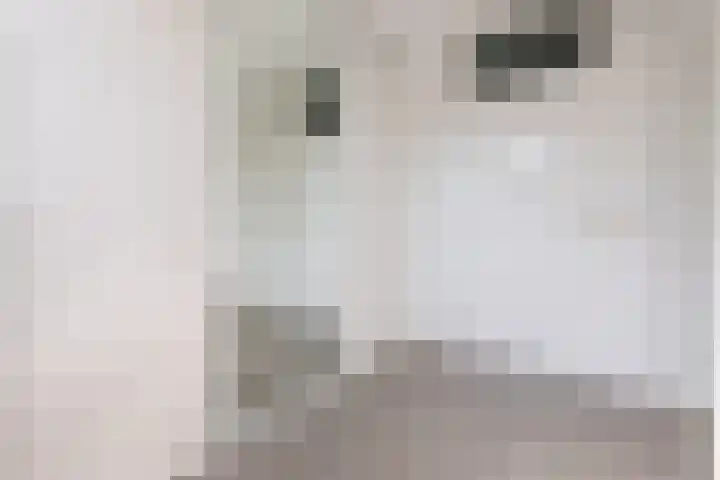 Schaapscheerderslaan 21 Voorthuizen thumbnail 24