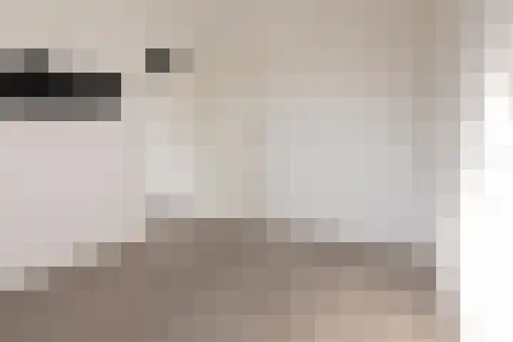 Schaapscheerderslaan 21 Voorthuizen thumbnail 27