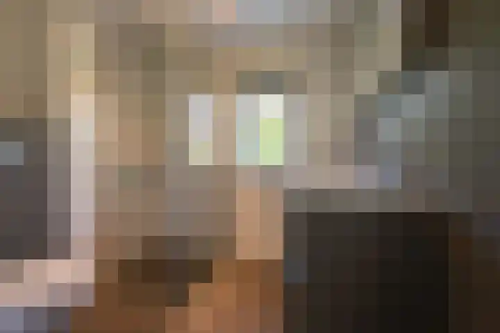 Schaapscheerderslaan 21 Voorthuizen thumbnail 28