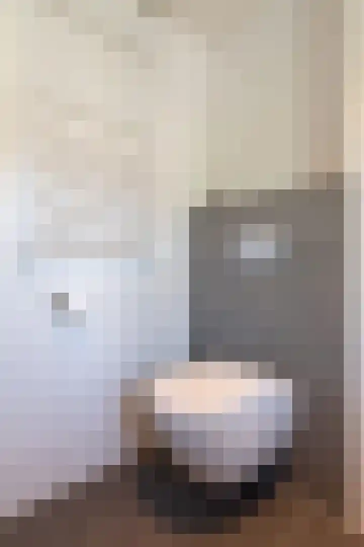 Schaapscheerderslaan 21 Voorthuizen thumbnail 30