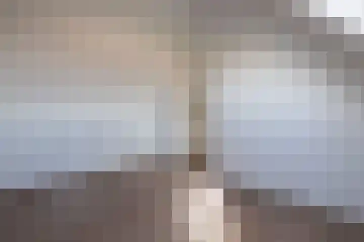 Schaapscheerderslaan 21 Voorthuizen thumbnail 34