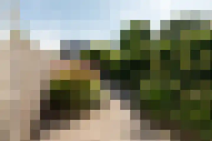 Schaapscheerderslaan 21 Voorthuizen thumbnail 35