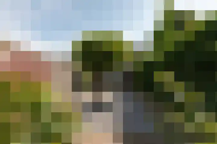 Schaapscheerderslaan 21 Voorthuizen thumbnail 36