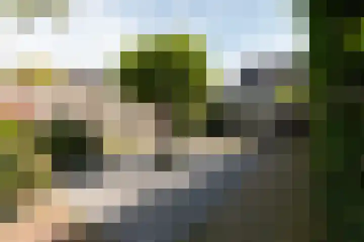 Schaapscheerderslaan 21 Voorthuizen thumbnail 37