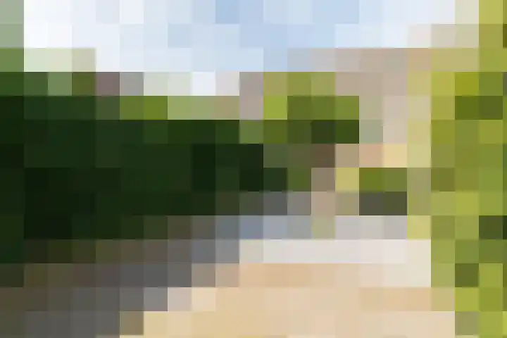 Schaapscheerderslaan 21 Voorthuizen thumbnail 39