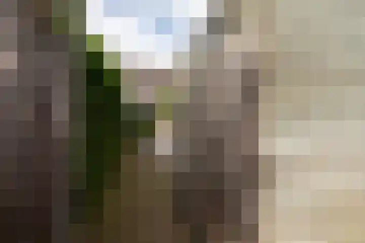 Schaapscheerderslaan 21 Voorthuizen thumbnail 40