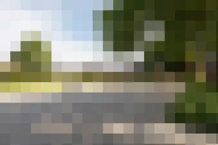 Schaapscheerderslaan 21 Voorthuizen thumbnail 43