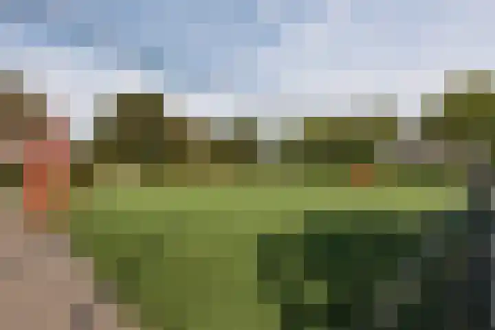 Schaapscheerderslaan 21 Voorthuizen thumbnail 44