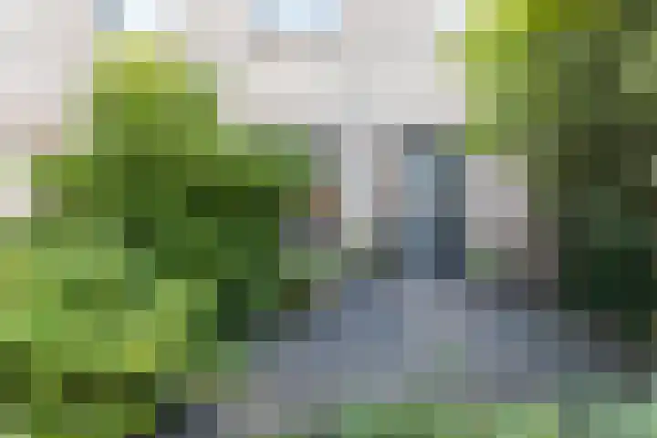 Schaapscheerderslaan 21 Voorthuizen thumbnail 6