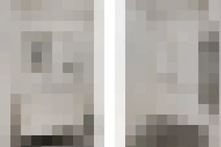 Schaapscheerderslaan 39 Voorthuizen thumbnail 15