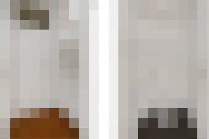 Schaapscheerderslaan 39 Voorthuizen thumbnail 16