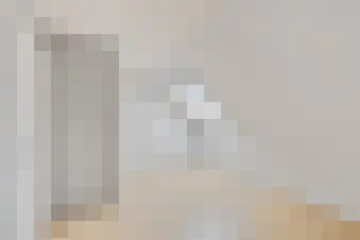 Schaapscheerderslaan 39 Voorthuizen thumbnail 24