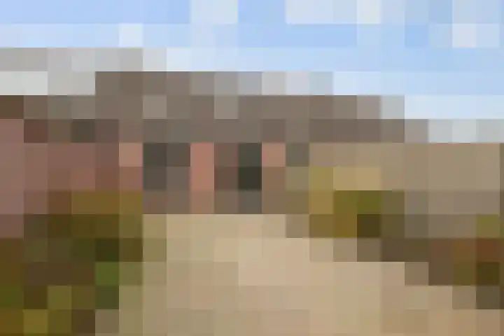 Schaapscheerderslaan 39 Voorthuizen thumbnail 27