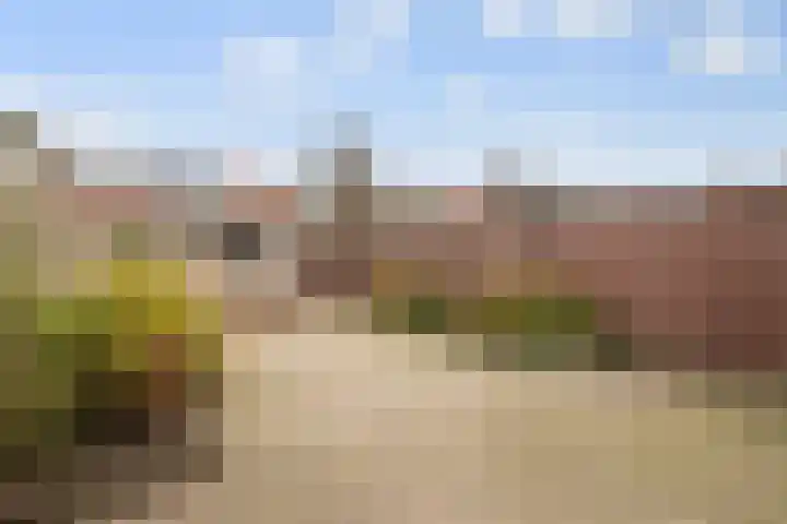 Schaapscheerderslaan 39 Voorthuizen thumbnail 29