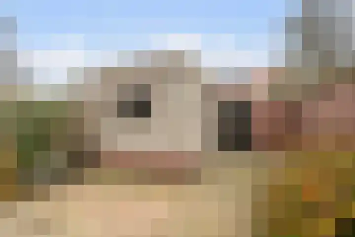 Schaapscheerderslaan 39 Voorthuizen thumbnail 30
