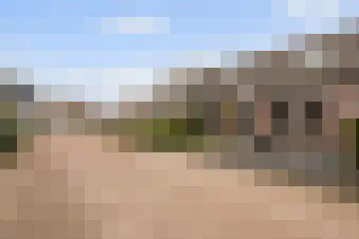 Schaapscheerderslaan 39 Voorthuizen thumbnail 32