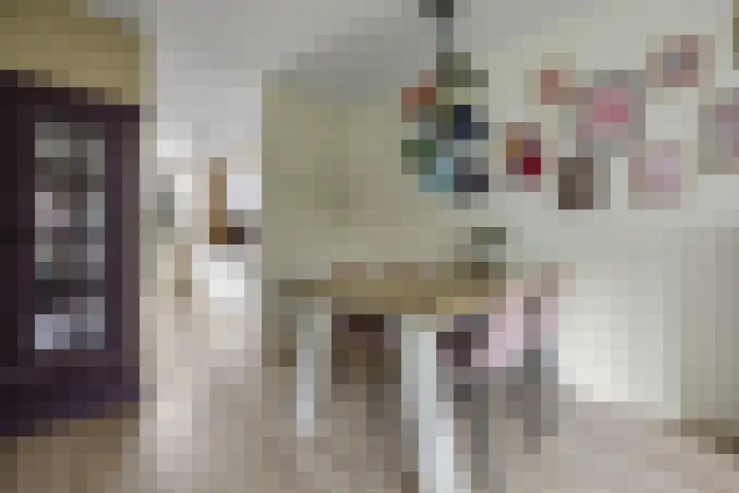 Schaapscheerderslaan 45 Voorthuizen thumbnail 12