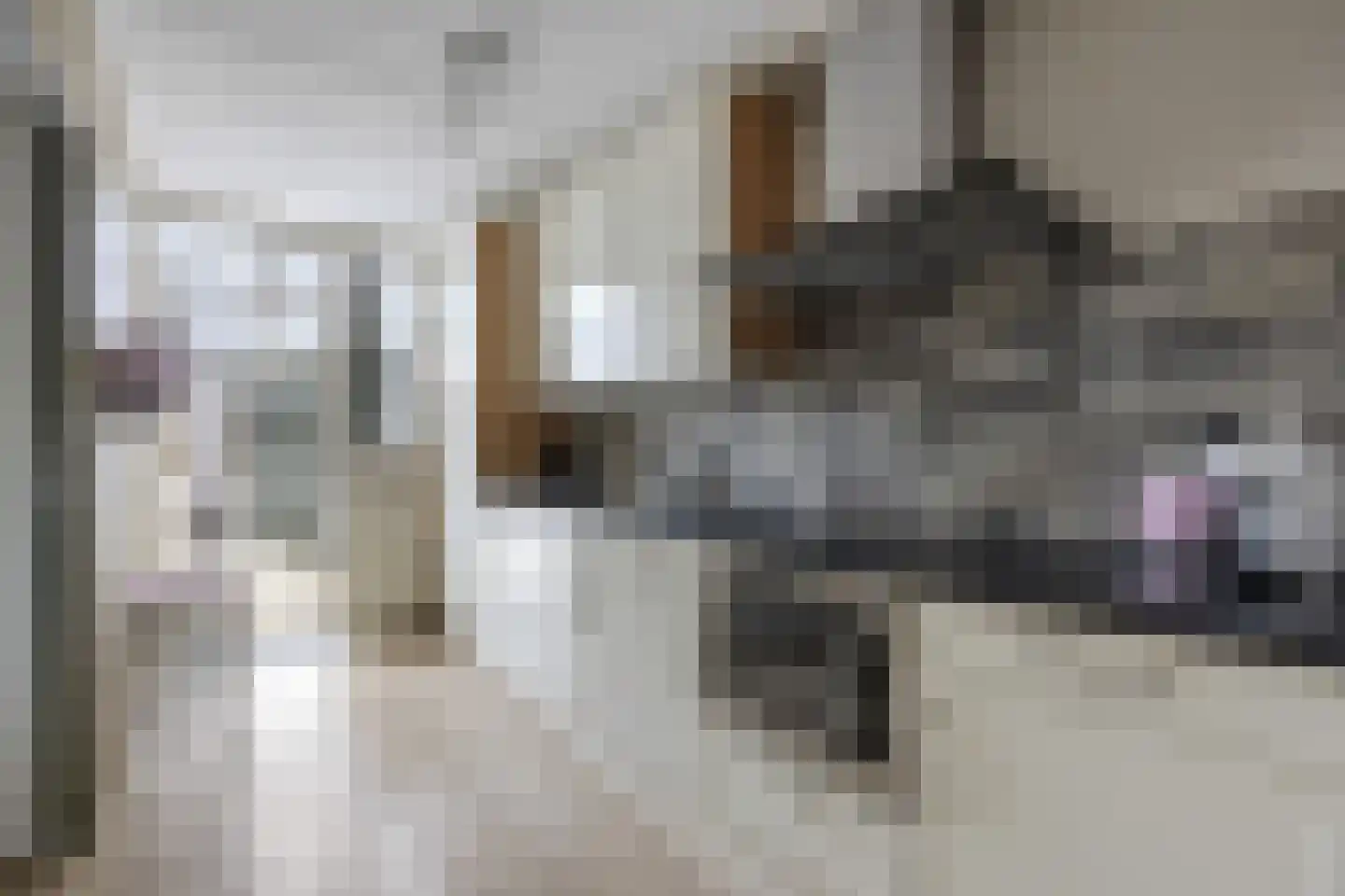 Schaapscheerderslaan 45 Voorthuizen thumbnail 13