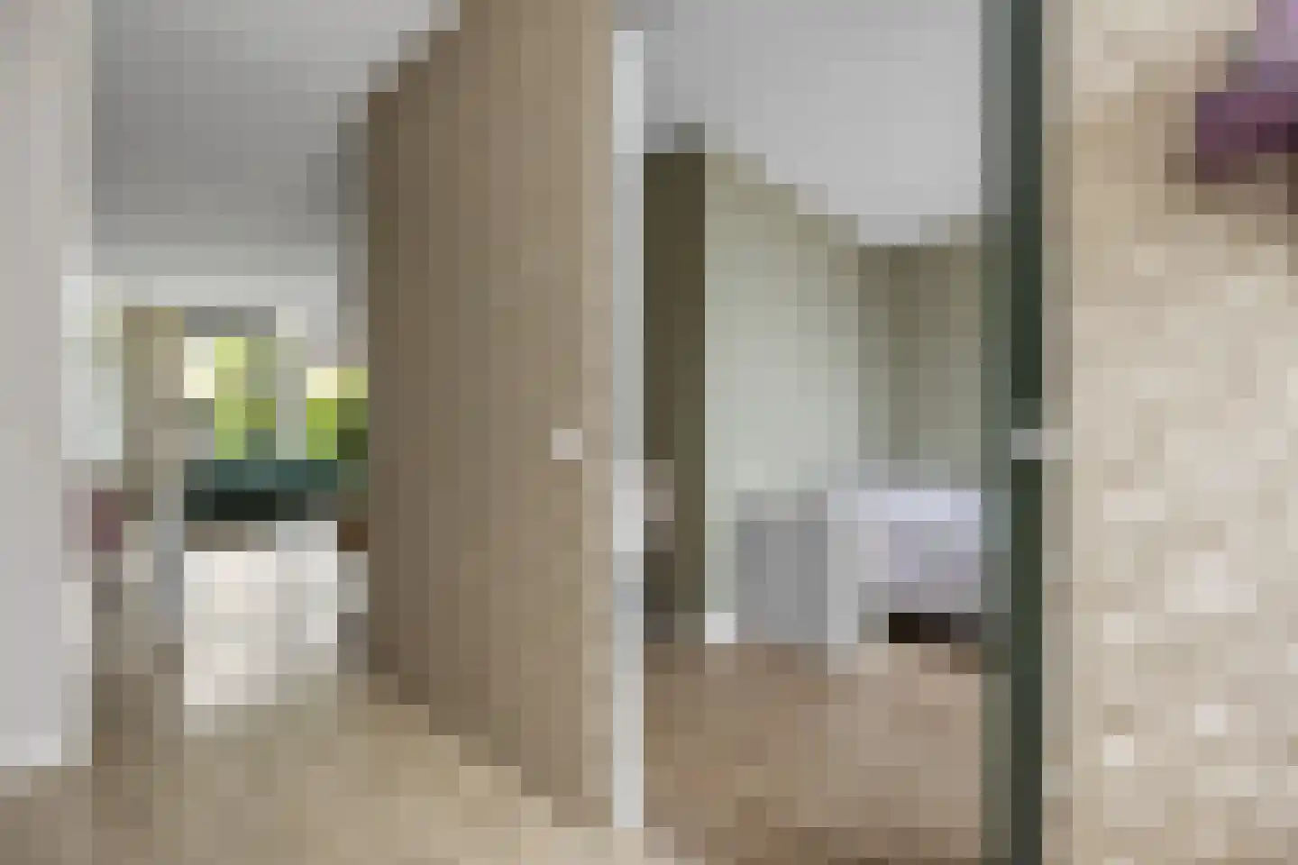 Schaapscheerderslaan 45 Voorthuizen thumbnail 16