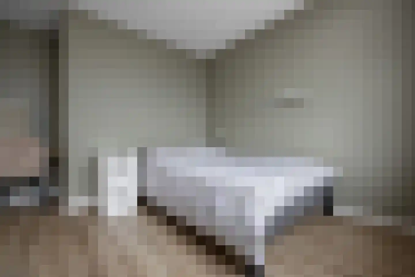 Schaapscheerderslaan 45 Voorthuizen thumbnail 17