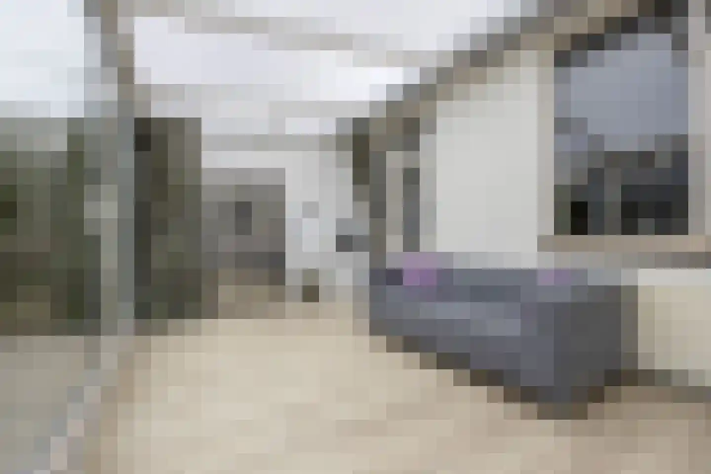 Schaapscheerderslaan 45 Voorthuizen thumbnail 19