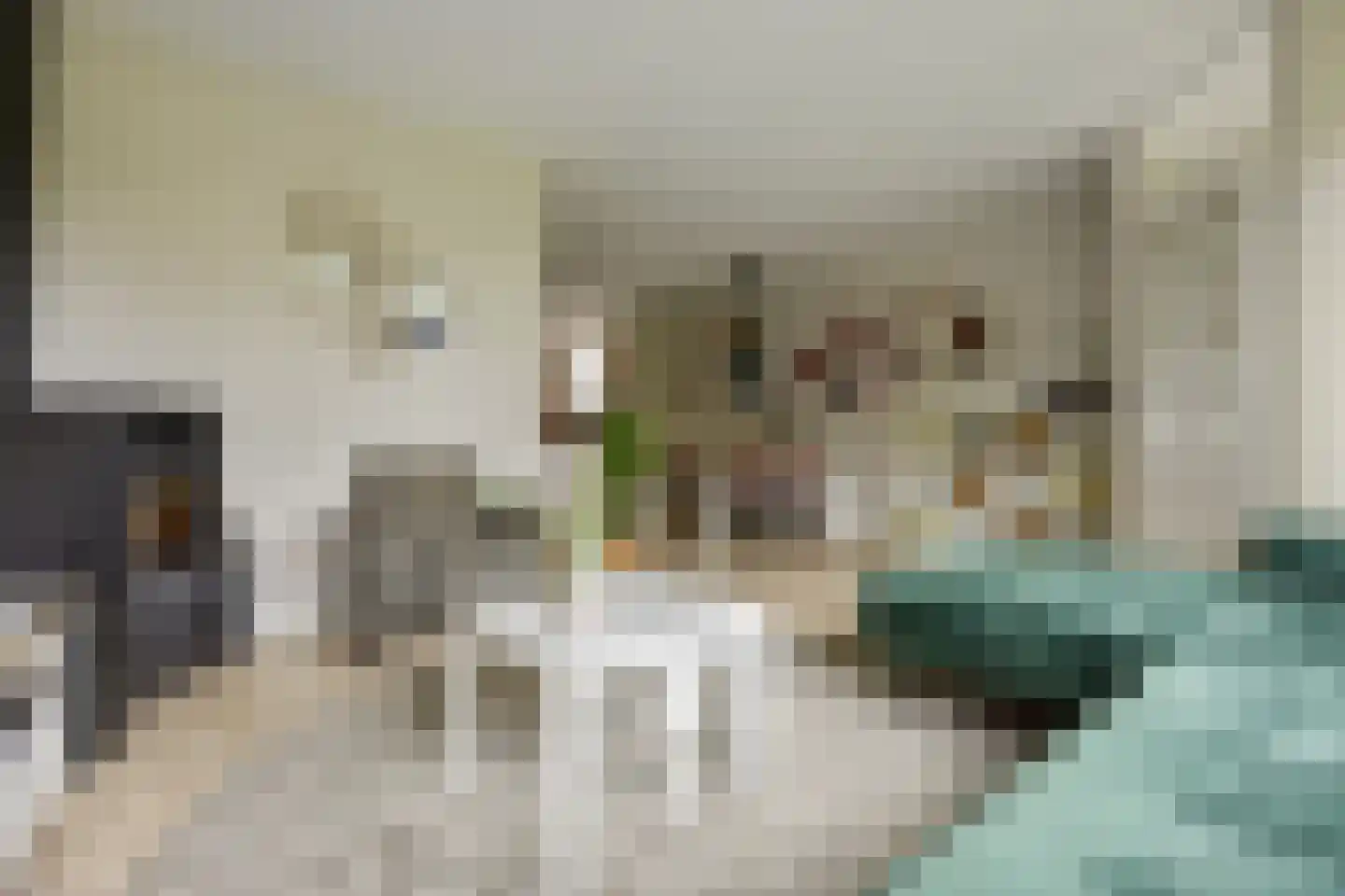 Schaapscheerderslaan 45 Voorthuizen thumbnail 8