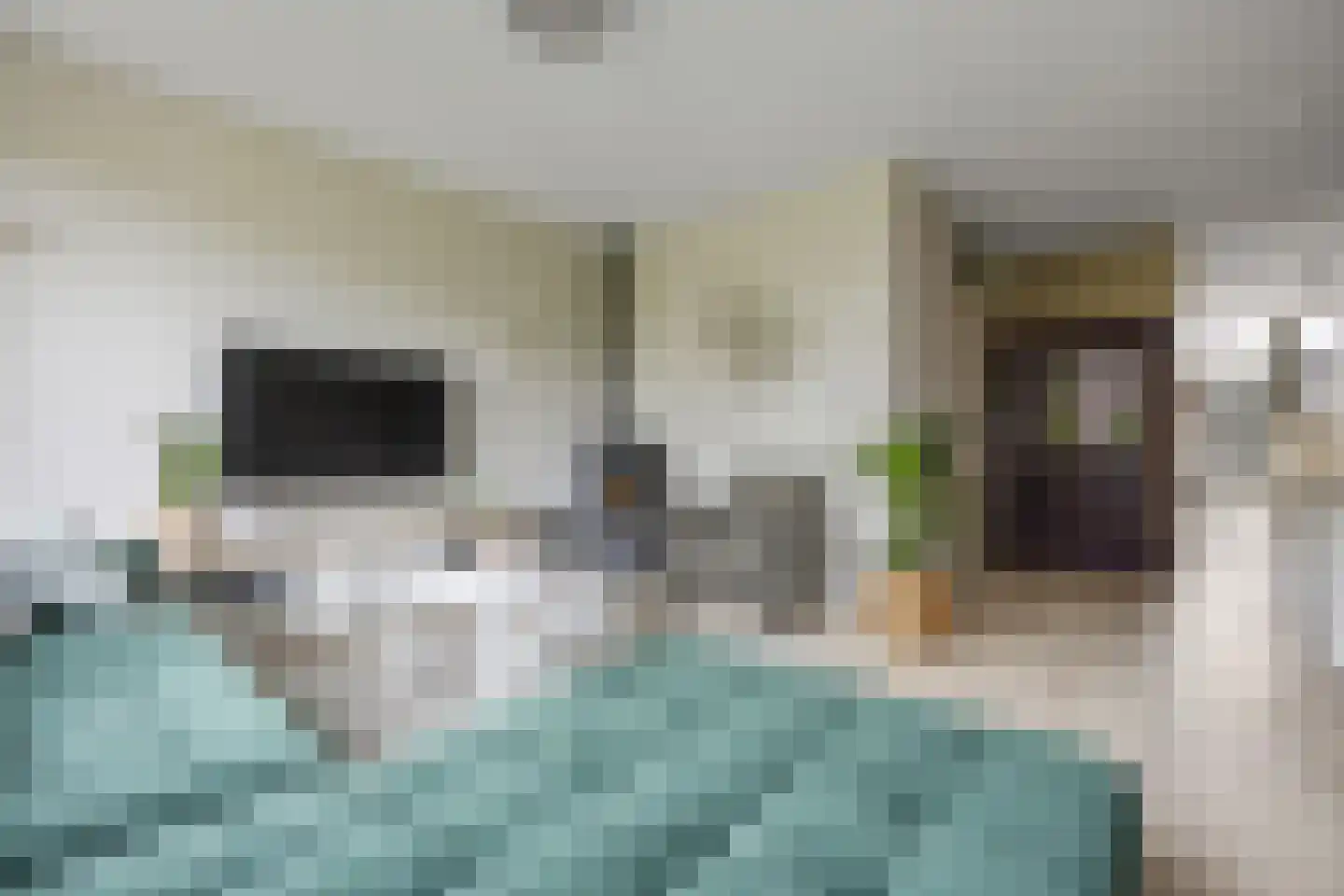 Schaapscheerderslaan 45 Voorthuizen thumbnail 9