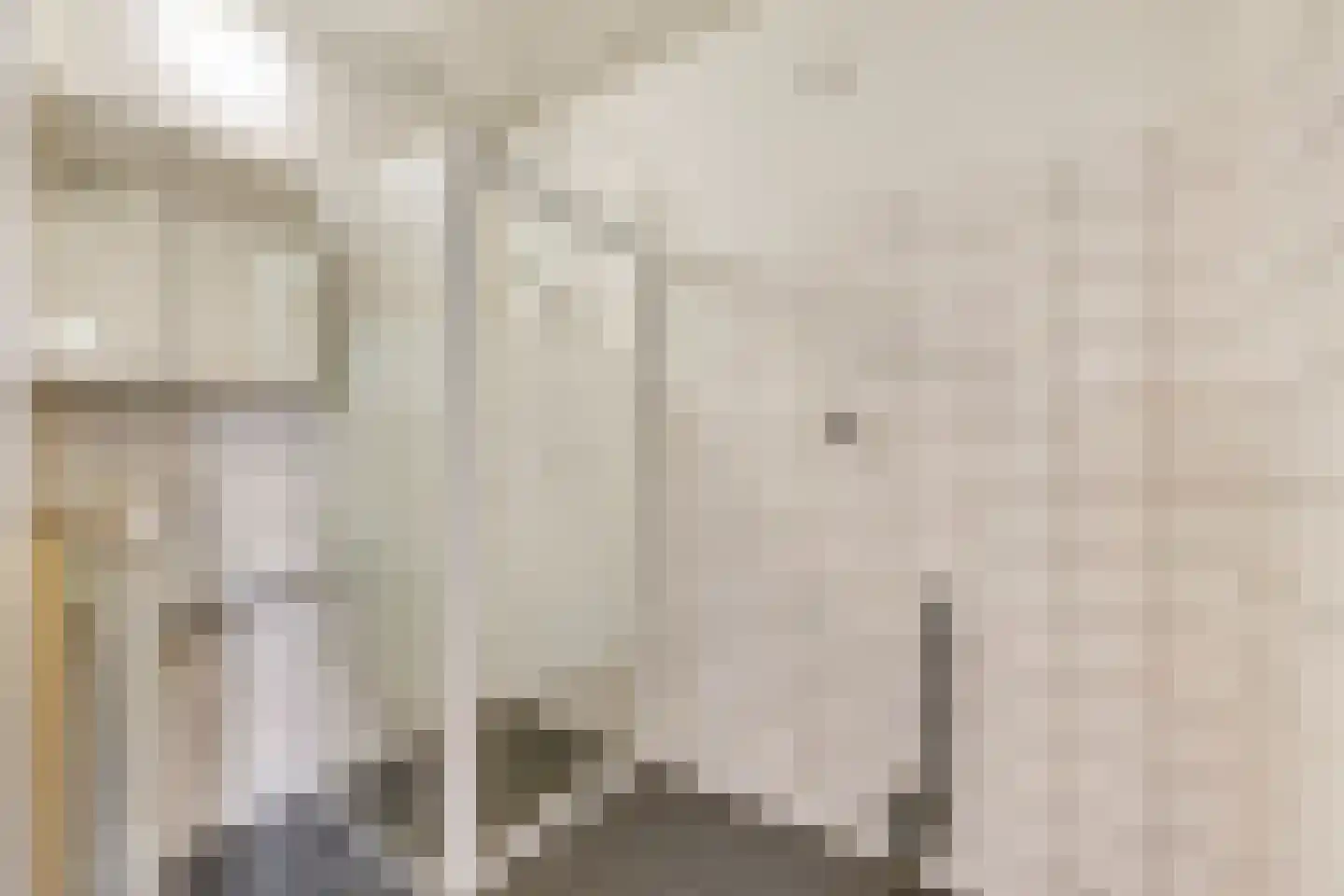 Schaapsdam 13 b Huissen thumbnail 14