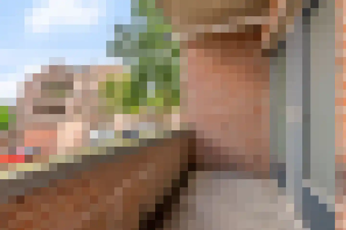 Schaapsdam 13 b Huissen thumbnail 18