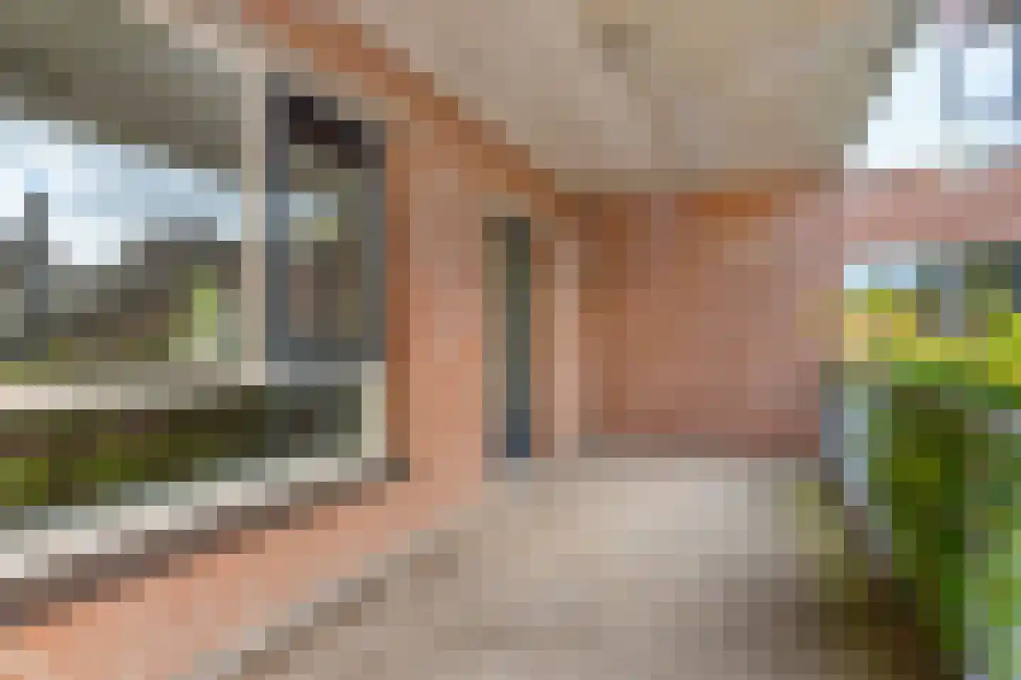 Schaapsdam 13 b Huissen thumbnail 19