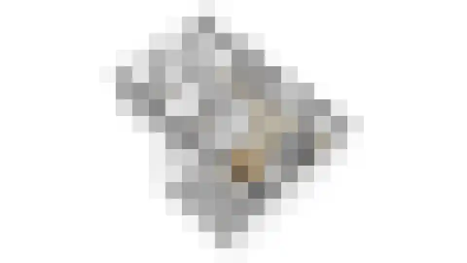 Schaapsdam 13 b Huissen thumbnail 24