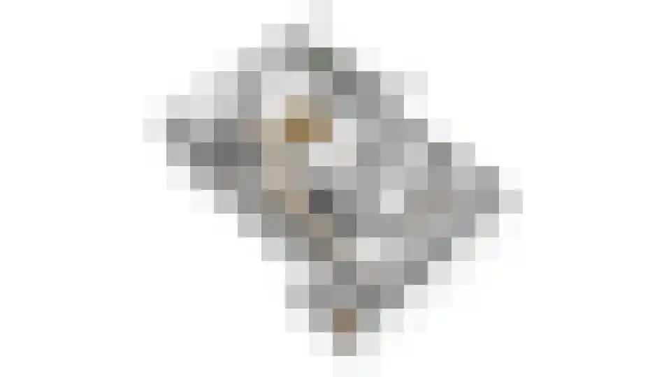 Schaapsdam 13 b Huissen thumbnail 25