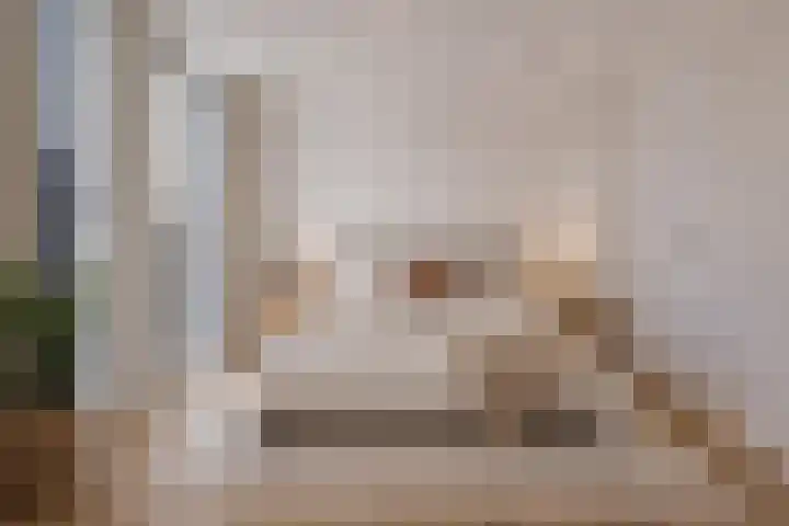 Schaapsdijk 1 a Loosbroek thumbnail 20