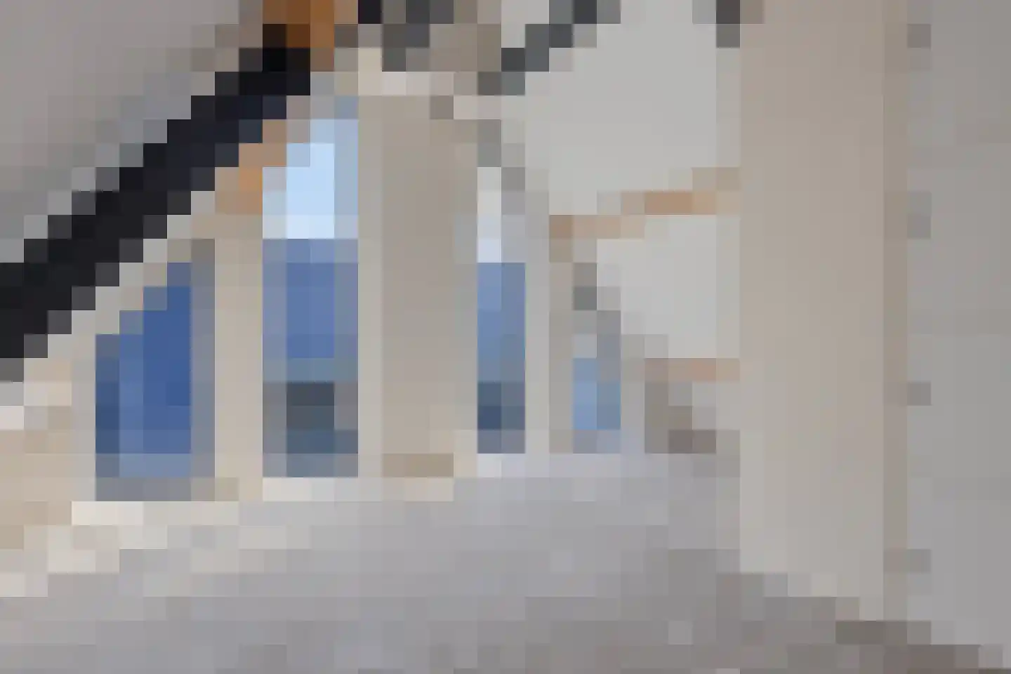 Schaapsdijk 1 a Loosbroek thumbnail 26