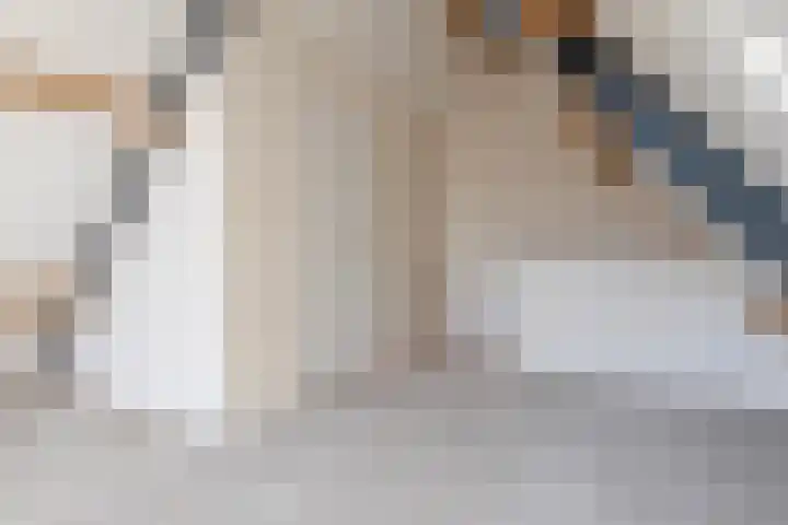 Schaapsdijk 1 a Loosbroek thumbnail 28