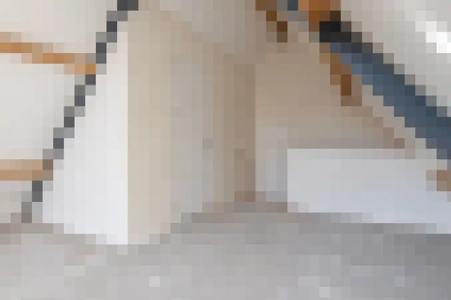 Schaapsdijk 1 a Loosbroek thumbnail 28