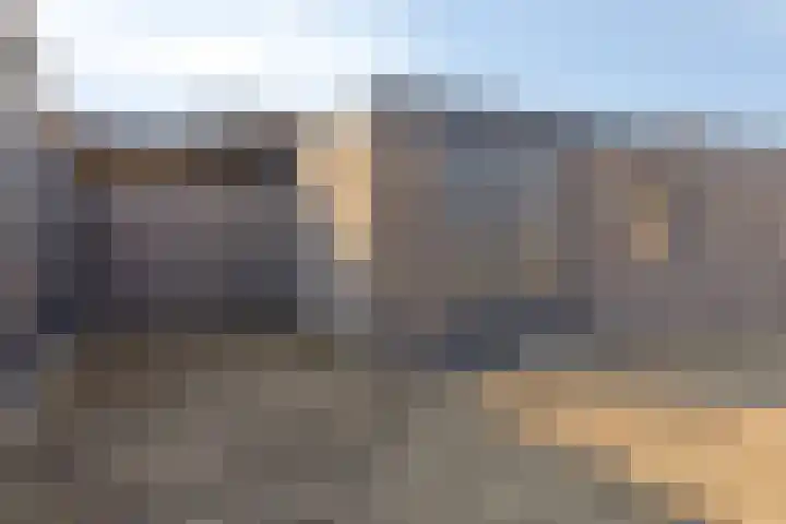Schaapsdijk 1 a Loosbroek thumbnail 32