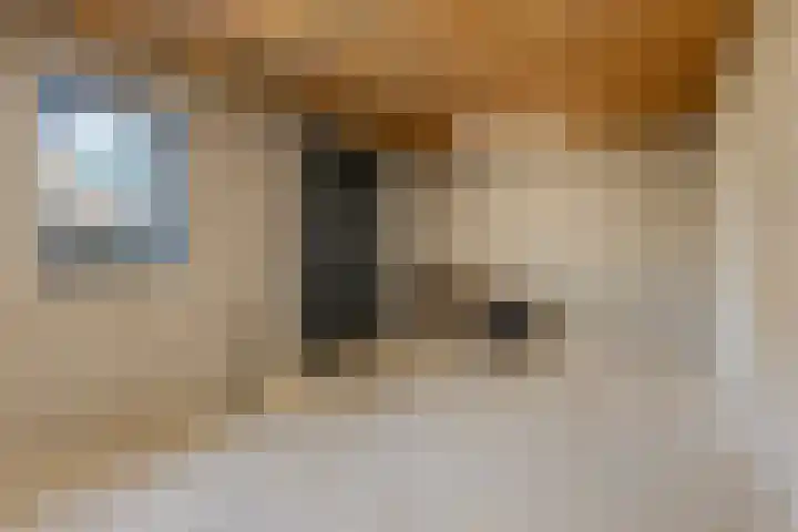 Schaapsdijk 1 a Loosbroek thumbnail 36