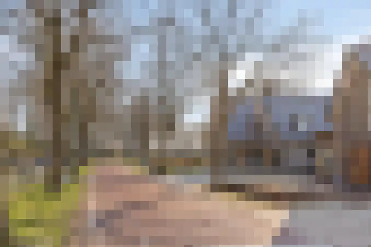 Schaapsdijk 1 a Loosbroek thumbnail 37