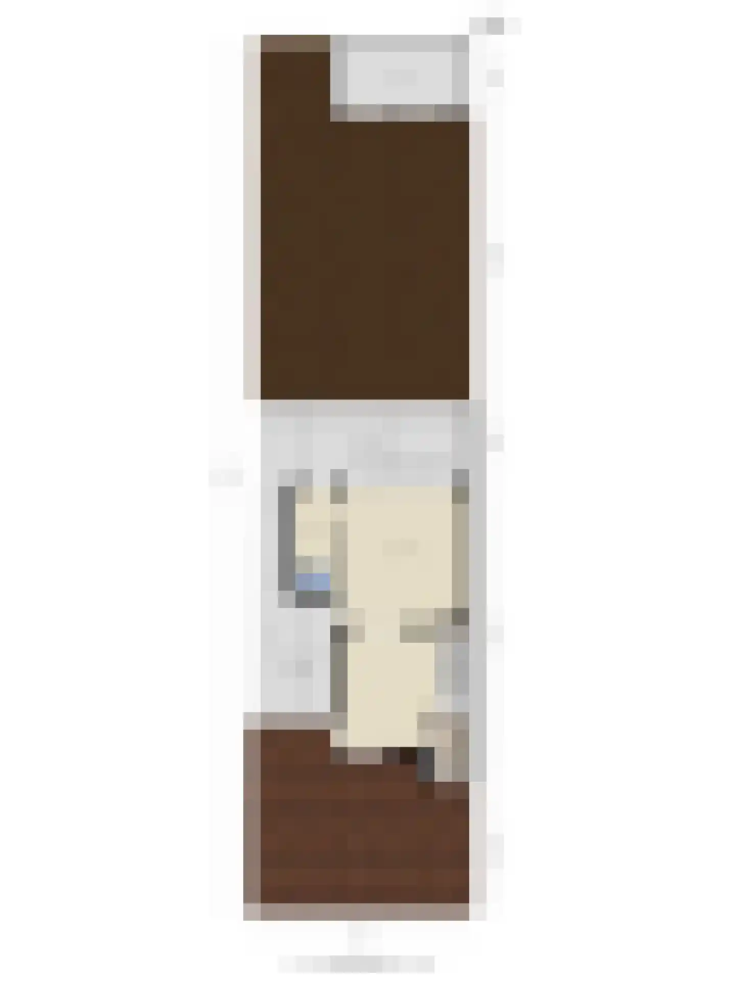 Schaapsdijk 1 a Loosbroek thumbnail 38